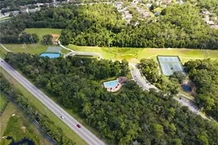 16817 Harrierridge Pl, Lithia, FL 33547 - Photo 47