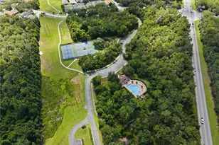 16817 Harrierridge Pl, Lithia, FL 33547 - Photo 47