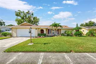 1081 McFarland St, Dunedin, FL 34698 - Photo 1