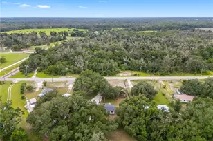 2118 E Keysville Rd, Lithia, FL 33547 - Photo 43