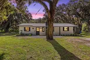 2118 E Keysville Rd, Lithia, FL 33547 - Photo 3