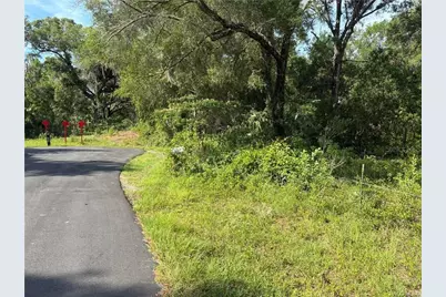 5236 N Oldwood Point, Hernando, FL 34442 - Photo 1