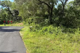 5236 N Oldwood Point, Hernando, FL 34442 - Photo 1