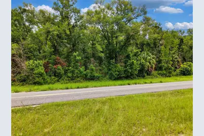000 NE 410th Avenue, Old Town, FL 32680 - Photo 17