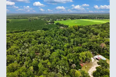 000 NE 410th Avenue, Old Town, FL 32680 - Photo 11