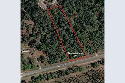 000 NE 410th Avenue, Old Town, FL 32680 - Photo 7