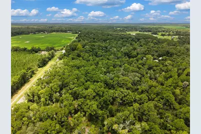 000 NE 410th Avenue, Old Town, FL 32680 - Photo 5