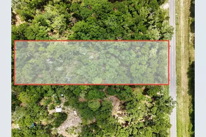 000 NE 410th Avenue, Old Town, FL 32680 - Photo 5