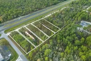 Nicasio Jay Ave, Weeki Wachee, FL 34614 - Photo 1