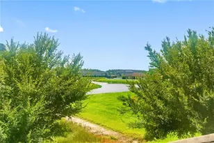 19343 Paddock View Dr, Tampa, FL 33647 - Photo 57