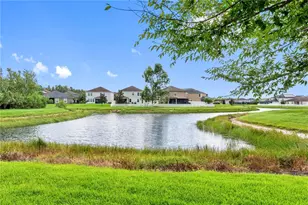 19343 Paddock View Dr, Tampa, FL 33647 - Photo 75