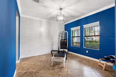 19343 Paddock View Drive, Tampa, FL 33647 - Photo 17