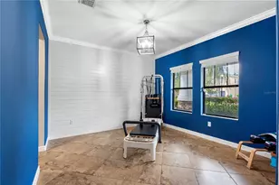 19343 Paddock View Dr, Tampa, FL 33647 - Photo 17