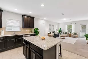 4741 Chatterton Way, Riverview, FL 33578 - Photo 11