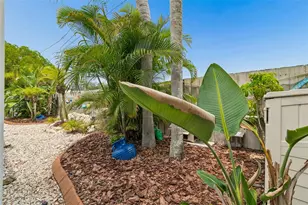 5843 Appletree Rd, Holiday, FL 34690 - Photo 61