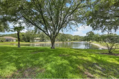 7508 Dunbridge Drive, Odessa, FL 33556 - Photo 7