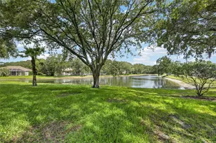 7508 Dunbridge Dr, Odessa, FL 33556 - Photo 7