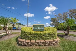 2331 Finlandia Ln, Clearwater, FL 33763 - Photo 33