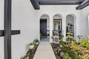 203 Star Shell Dr, Apollo Beach, FL 33572 - Photo 67