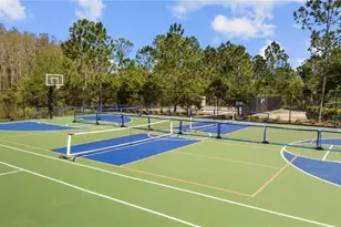 4711 San Martino Dr, Wesley Chapel, FL 33543 - Photo 47