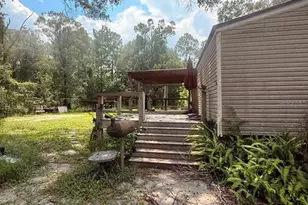 10105 McMahon Ave, Hastings, FL 32145 - Photo 3