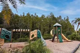 10864 Cory Lake Dr, Tampa, FL 33647 - Photo 45
