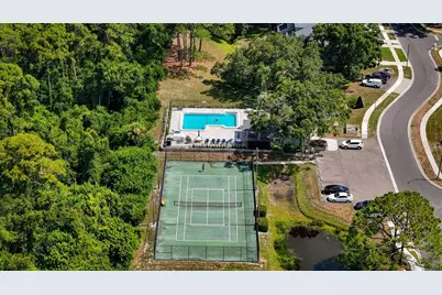 3174 Phlox Drive, Palm Harbor, FL 34684 - Photo 5