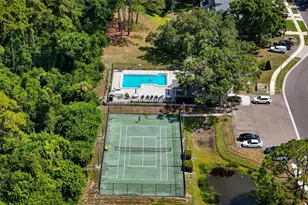 3174 Phlox Dr, Palm Harbor, FL 34684 - Photo 5