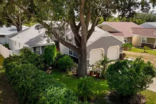 3174 Phlox Dr, Palm Harbor, FL 34684 - Photo 1