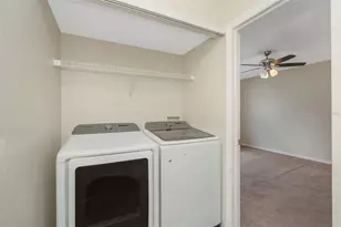 7361 E Bank Dr, Tampa, FL 33617 - Photo 13