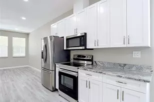 509 E Lake Ave, Tampa, FL 33603 - Photo 19