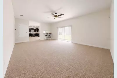 125 Orange Mill Avenue, Ruskin, FL 33570 - Photo 27