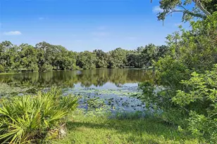 35 Greenhaven Trail, Oldsmar, FL 34677 - Photo 55