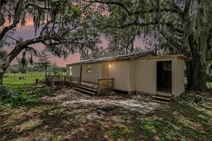 10239 Lyons Ave, Lithia, FL 33547 - Photo 5