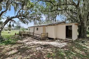 10239 Lyons Ave, Lithia, FL 33547 - Photo 7