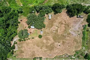 10239 Lyons Ave, Lithia, FL 33547 - Photo 3