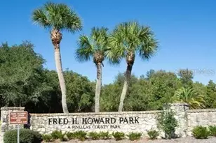 1250 S Pinellas Ave, Tarpon Springs, FL 34689 - Photo 49