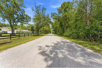Raven Brook Road, Wesley Chapel, FL 33544 - Photo 3