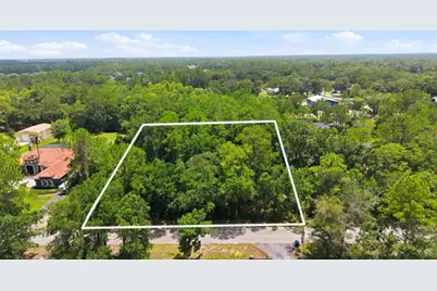 Raven Brook Road, Wesley Chapel, FL 33544 - Photo 1
