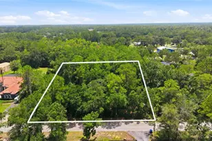 Raven Brook Rd, Wesley Chapel, FL 33544 - Photo 1