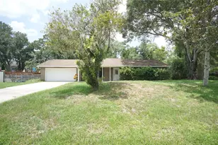 6005 Christy Ln, Riverview, FL 33578 - Photo 1