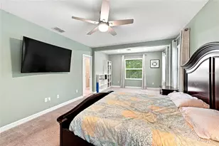 6809 Via Perloso Ct, Tampa, FL 33625 - Photo 35