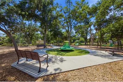 7113 Colony Pointe Drive, Riverview, FL 33578 - Photo 39