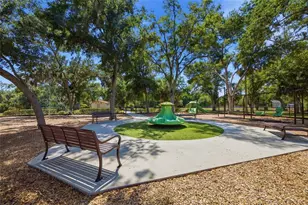 7113 Colony Pointe Dr, Riverview, FL 33578 - Photo 39