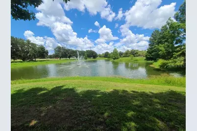5903 Willow Ridge Drive #203, Zephyrhills, FL 33541 - Photo 29