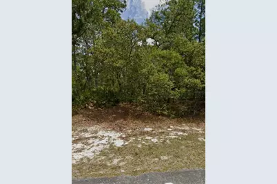 5732 N Summerfield Point, Dunnellon, FL 34434 - Photo 1