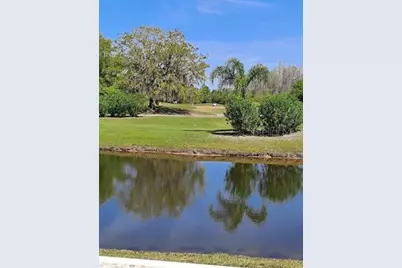 19146 Cypress Green Drive, Lutz, FL 33558 - Photo 43