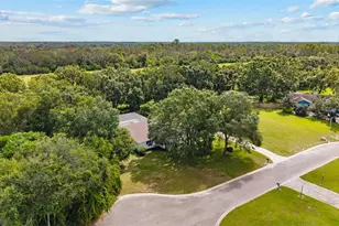 10204 Tranquil Ln, Odessa, FL 33556 - Photo 25
