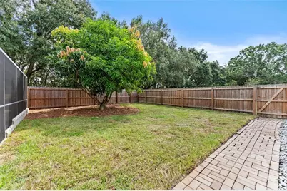 10204 Tranquil Lane, Odessa, FL 33556 - Photo 9