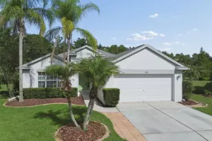 3526 Morgan's Bluff Ct, Land O Lakes, FL 34639 - Photo 1